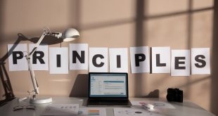 principle meaning in bengali