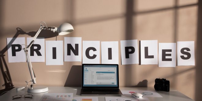 principle meaning in bengali