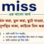 miss meaning in bengali