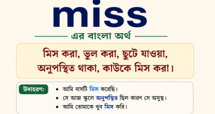 miss meaning in bengali
