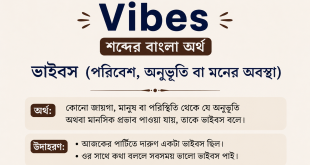 vibes meaning in bengali