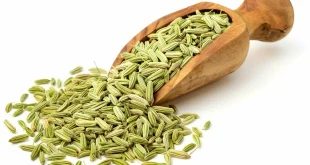 fennel seeds in bengali