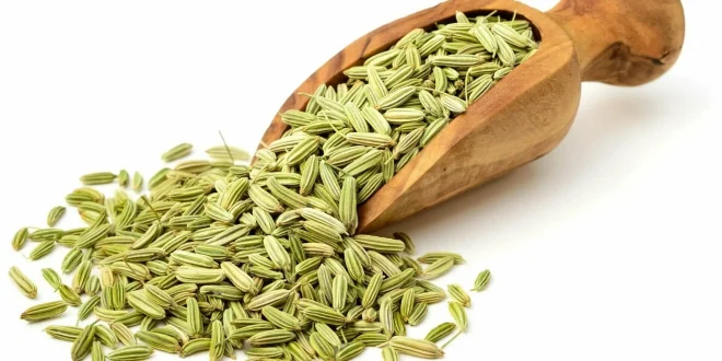 fennel seeds in bengali