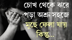 হৃদয়স্পর্শী বাংলা শায়রি এর ধরনসমূহ