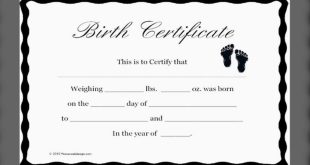 birth certificate check