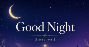 good night caption